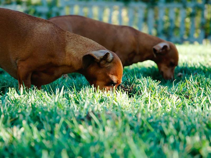 sudoku pattern recognition screenshot 1