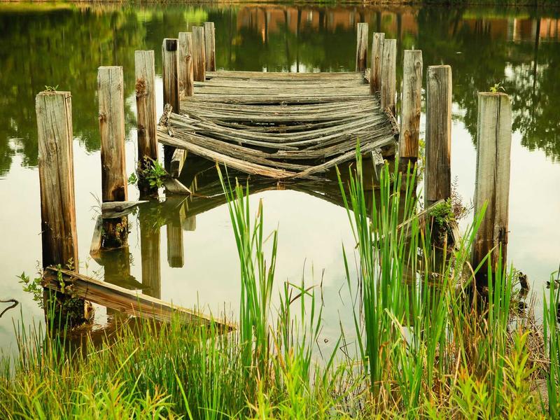 feedback screenshot 1