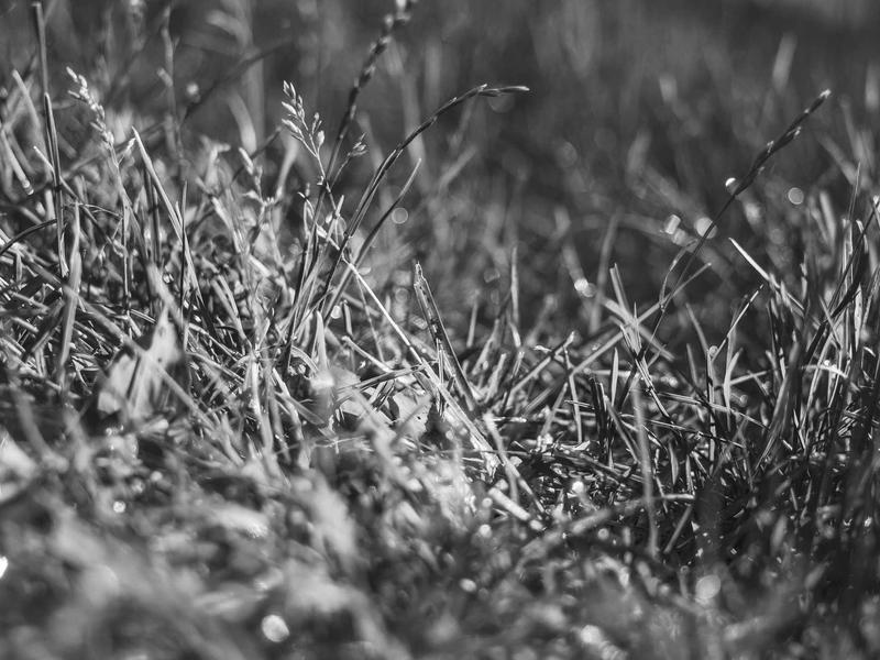 sudoku senior friendly